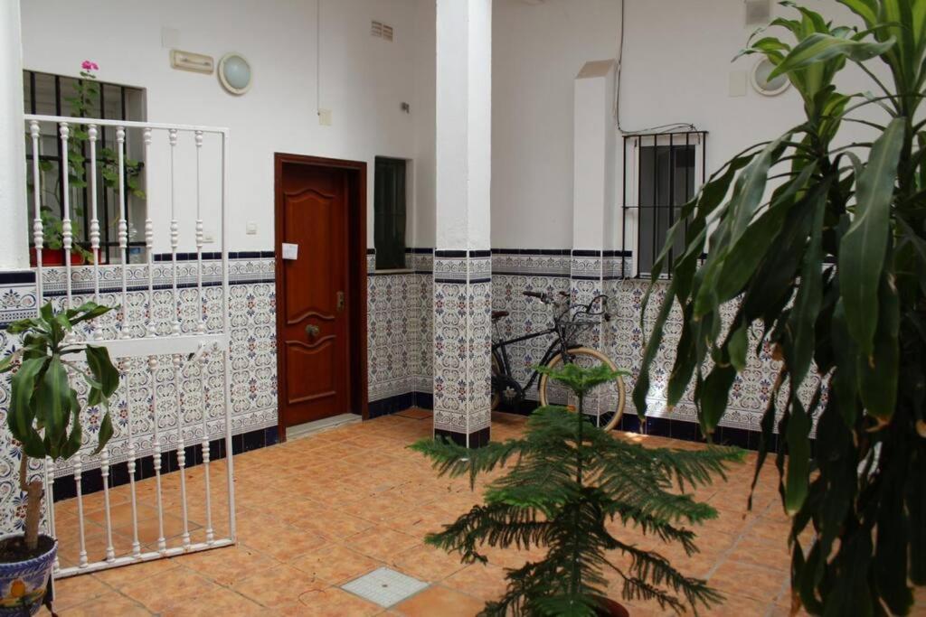 Cdz - Casa De Los Viajeros Pasquin Cádiz Exteriör bild